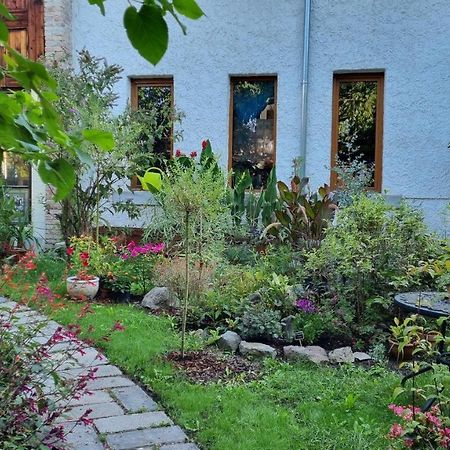 Flaneurstudio Szentendre Esterno foto